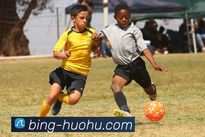 App Interface Preview