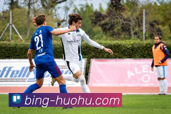 火狐体育APP 封面图